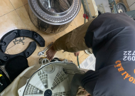 Điện lạnh giá rẻ tại tân bình 